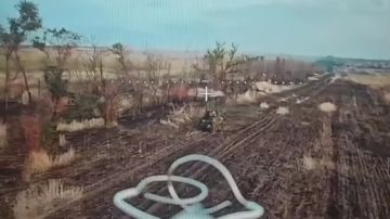 Новороссийские десантники нарушили логистику ВСУ вблизи города Запорожье