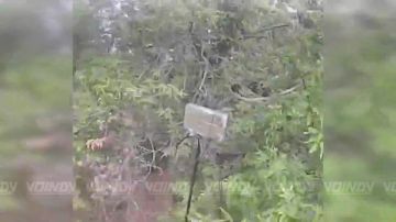 ��������� ���� 114 ������������ ��������������� ����� 127 �������������� ������� ����������� ����� ������� �������� ������ ����������� ����������, ��������� ������� ��� �� ����������� �����������