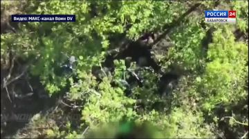 ������� ���� ����������� ����� ������� �������� ������� ��� � ������ ���������� ������ ����������