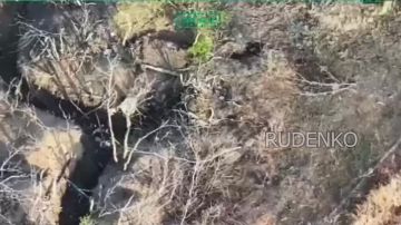 Андрей Руденко: Кадры боевой работы по освобождению Червоной Криницы в Запорожской области