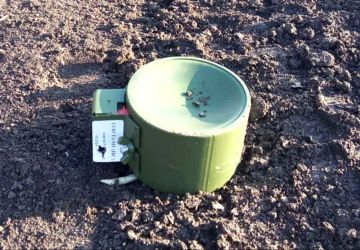 Замаскированные под пеньки мины используют ВСУ в Запорожской области