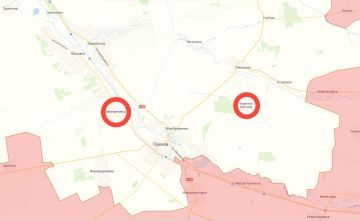 Российские военные освободили населённые пункты Червоная Криница и Новопавловка около Орехова Запорожской области, сообщает Минобороны РФ