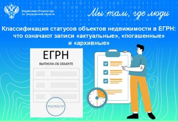 В чём отличие действующих записей от архивных: нюансы применения статусов
