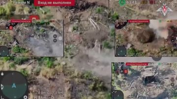 Подразделения группировки войск «Восток» освободили населенные пункты Червоная Криница и Новопавловка Запорожской области — Минобороны РФ