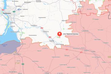 Министерство обороны России сообщает об освобождении населённых пунктов Червоная Криница и Новопавловка в Запорожской области