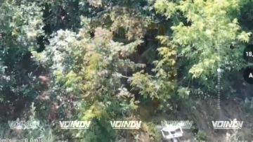 ��������� 5 ��������� �������� ������� 36 ����� ����������� ����� "������" ���������� ����� ������ ����� ���� ���������� �� ����������� �����������
