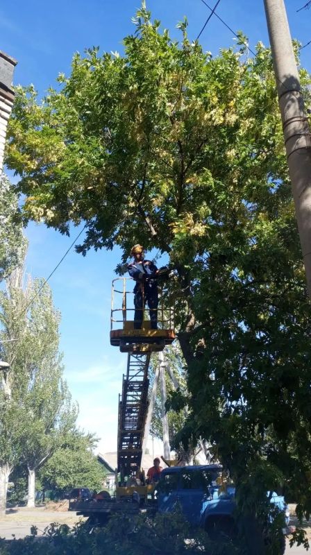 МБУ «Горсвет» производит обрезку деревьев на ул. Франко