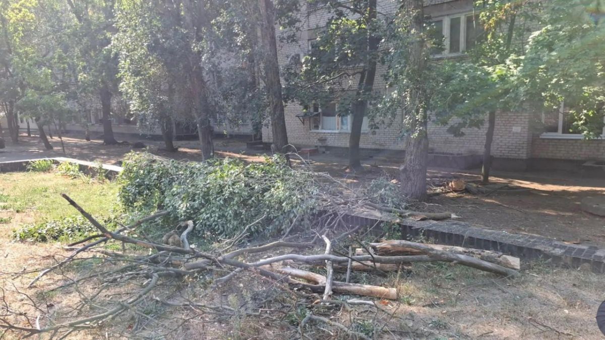 Пензенские специалисты убирают аварийные деревья с улиц Токмака Пензенские специалисты убирают аварийные деревья с улиц Токмака
