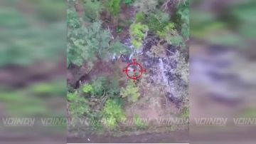 Операторы БпЛА 394 гвардейского полка 127 дивизии 5 армии группировки войск "Восток" нанесли удары по позициям живой силы ВСУ на Запорожском направлении