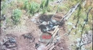 WarGonzo: ��������� ������ ����� ����������� �������� ���