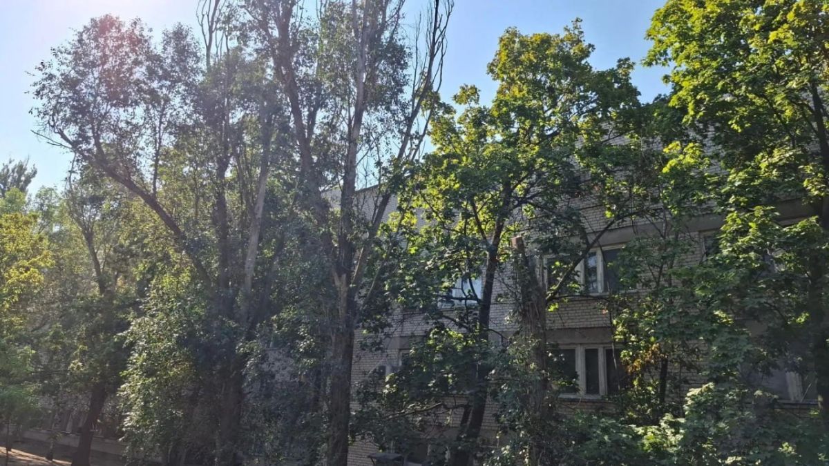 Пензенские специалисты убирают аварийные деревья с улиц Токмака Пензенские специалисты убирают аварийные деревья с улиц Токмака