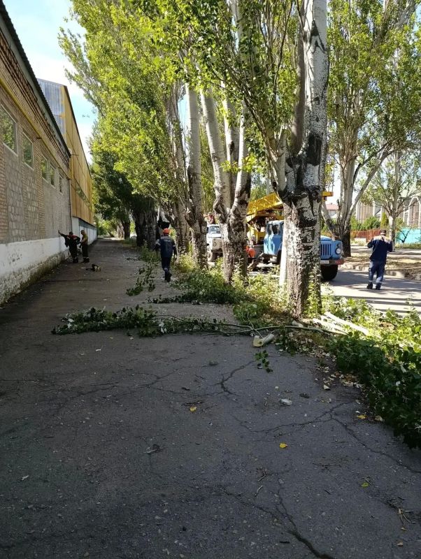 МБУ «Горсвет» производит обрезку деревьев на ул. Франко МБУ «Горсвет» производит обрезку деревьев на ул. Франко