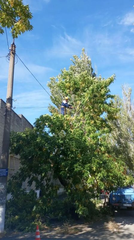 МБУ «Горсвет» производит обрезку деревьев на ул. Франко МБУ «Горсвет» производит обрезку деревьев на ул. Франко