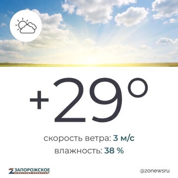 Ясная и теплая погода без осадков ожидается в Запорожской области в четверг, 3 сентября