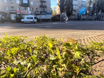 Доброе утро четверга