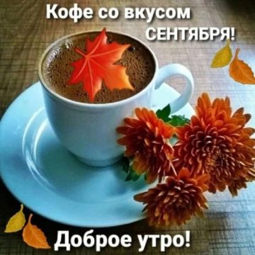 � ������ ����� ������������