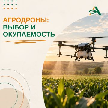 Агродроны в России: какие выбрать и когда они окупаются