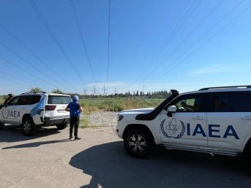 Для ремонта линий электропередачи, связанных с Запорожской АЭС, введен режим прекращения огня, утверждает МАГАТЭ