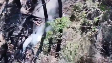 ��������� �������: ��������� ������� ���� ����������� ������� ������� ���������� �������� ��� � ����������� �������