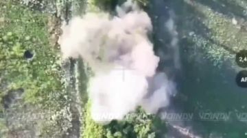 Славные трофеи наших охотников