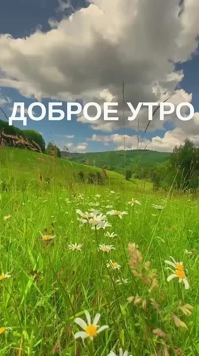 Доброе утро!. Подписывайтесь на НОВЫЙ МЕЛИТОПОЛЬ