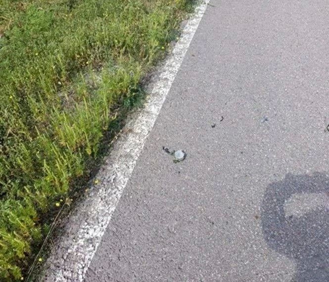 Внимание! Скрытая угроза под ногами — мина «Пряник» Внимание! Скрытая угроза под ногами — мина «Пряник»