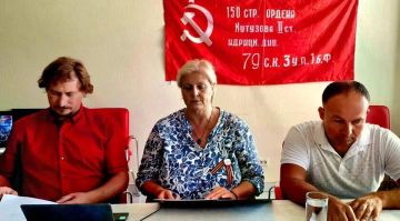 В Мелитополе провели международный видеомост с антифашистами США и Европы