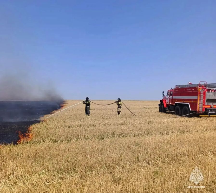 140 пожаров произошло в Запорожской области за неделю 140 пожаров произошло в Запорожской области за неделю