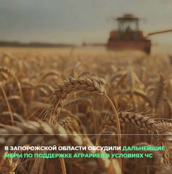 По поручению Губернатора Запорожской области продолжается работа с сельхозпредприятиями, пострадавшими в результате атак