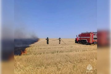 140 пожаров потушили в Запорожской области за неделю