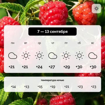 Погода в Запорожской области на 7 — 13 сентября