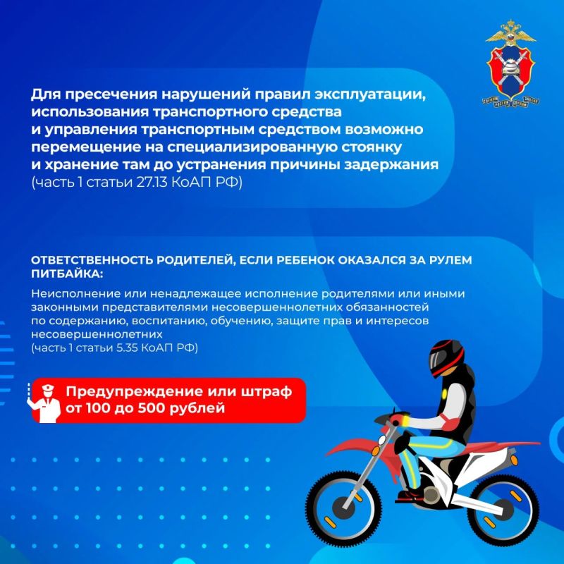 Все, что нужно знать о поездках на питбайках Все, что нужно знать о поездках на питбайках