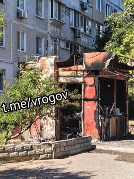 Владимир Рогов: Три дрона нацистов уничтожили «Три кота»