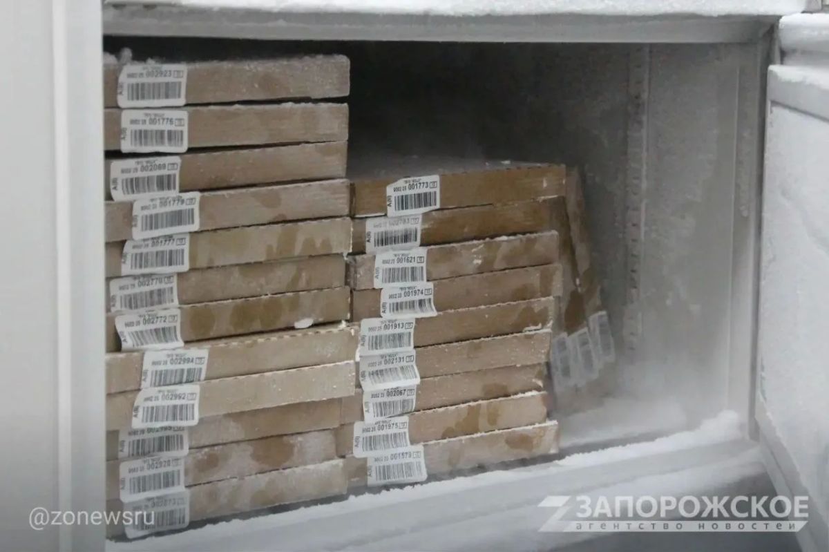ЭКСКЛЮЗИВ Мелитопольский центр крови заготовил более семи тонн донорских компонентов крови ЭКСКЛЮЗИВ Мелитопольский центр крови заготовил более семи тонн донорских компонентов крови
