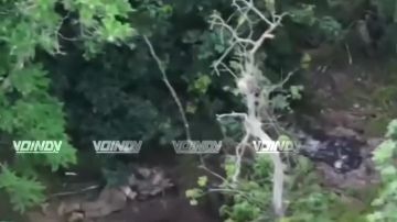 ��������� ���� 37 ��������� ����������� �������������� ������� 36 ����� ����������� ����� "������" ���������� ����� ���� ��� �� ����������� �����������