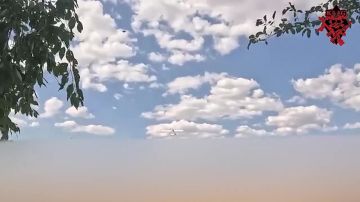 �������� �����: ����� �� �KWG� � ��������� ������� �Free Soldier� ����� ����� �� �����