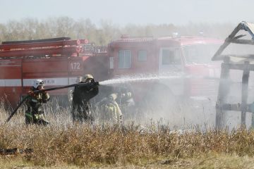 В Запорожской области в предстоящие сутки прогнозируют высокую вероятность пожаров, сообщили в МЧС региона