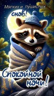 Доброй ночи, дорогие подписчики! Доброй ночи, Запорожье!