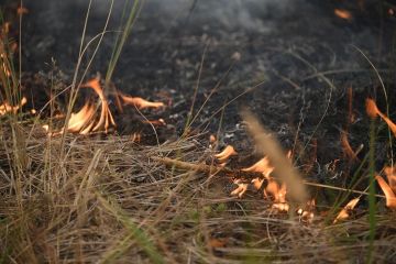 Спасатели в Запорожской области ликвидировали 16 пожаров за сутки