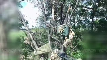 Воины-приморцы группировки войск «Восток» пресекли применение противником наземных роботизированных комплексов, уничтожив антенны НСУ на Запорожском направлении