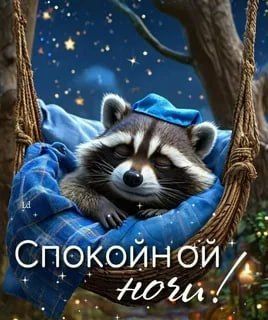 Доброй ночи, дорогие подписчики! Доброй ночи, Запорожье!