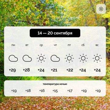 ������ � ����������� ������� �� 14 � 20 ��������
