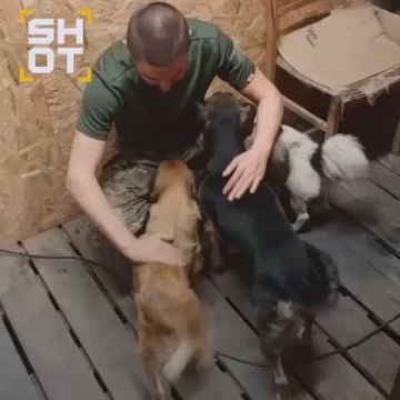 ���������� ������� ������ ���� ����� � ���� ��� � ������ �� ����� ��� ���� ���� � SHOT