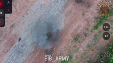Операторы FPV выполняют задачи по поражению вражеских БпЛА и укрытий, осуществляют контроль логистических маршрутов