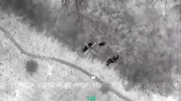 ��������� 14 ��������� ������� �������� ����������� ����� "������" �������� ����� ���� ��� �� ����������� �����������