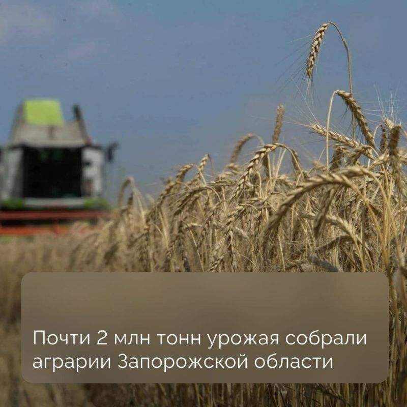В Запорожской области завершается уборка зерновых