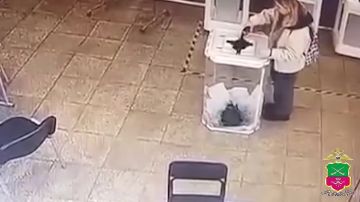 «Вернём ваши деньги и погасим кредиты»