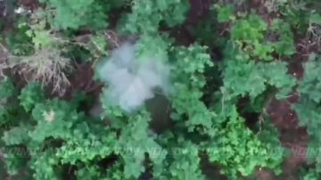 ������� ���� 37 ��������� ����������� �������������� ������� 36 ����� ����������� ����� "������" ���������� � ���������� ����� ���� ���������� �� ����������� �����������