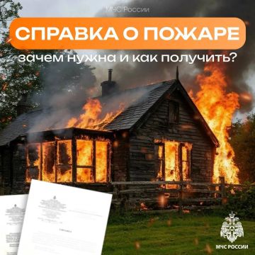 Справка о пожаре. На портале «Госуслуги» можно воспользоваться функцией «Предоставление справки, подтверждающей факт возникновения пожара»