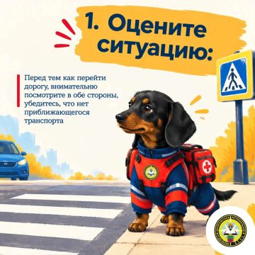 Всем привет! Я — Луна, спасатель Запорожского РО ВСКС